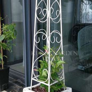 欧式铁艺花架落地式植物爬藤架做旧攀爬架户外庭院阳台铁线莲支架