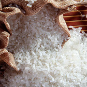 贵州雅水农家自种大米云雾香米生态农家米长粒香米食用米10斤