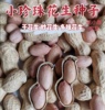 5斤小珍珠花生种子新货带壳炒原味核桃蒜香多味熟花生1斤零食