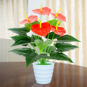仿真植物红掌假花塑料绿萝盆栽室内外家居客厅装饰花草落地摆设件