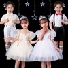 六一儿童演出服公主裙白色，蓬蓬纱裙幼儿园，舞蹈大合唱表演服男女童