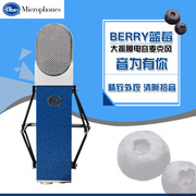 blueblueberry蓝莓电脑麦克风电容麦，k歌yy聊天话筒