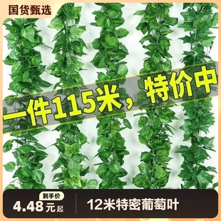 葡萄叶仿真藤条藤蔓植物树叶子吊顶装饰花藤假花塑料绿叶客厅室内