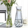 特大号两件装欧式玻璃，花瓶水养富贵竹，百合花插花花瓶客厅摆件