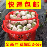 草莓采摘篮塑料水果篮2-5斤蓝莓樱桃桑葚杨梅手提塑料筐快递
