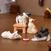 微景观树脂工艺品可爱卡通写实小猫摆件仿真动物猫咪水晶球装饰品
