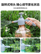喷水壶浇花压力洒水壶大容量家用浇水专用喷花园艺养花小喷壶消毒