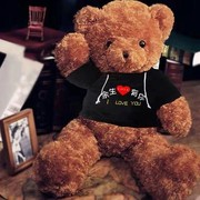 泰迪熊公仔毛绒玩具大熊猫抱抱熊可爱睡觉抱枕熊娃娃生日礼物女生