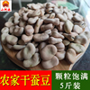 云南土特产高山农家5斤新鲜干蚕豆，生馋豆种子胡豆子(胡豆子)10干货生馋豆