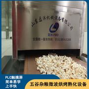 节能型玉米爆米花微波烘烤膨化机 黄豆熟化设备 连续运转