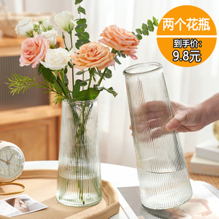 两件套北欧玻璃花瓶透明水养鲜花百合富贵竹花瓶客厅插花摆件