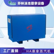 跨境蒸汽机商用汗蒸房熏蒸机 家用桑拿房设备机器