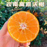 沃柑新鲜水果云南玉溪哀牢山橘子3/5/8斤