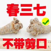 云南文山特产三七500克田七20头30头无剪口滑头，无公害无残留