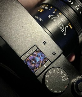 日式樱花适用于徕卡佳能索尼a7c富士x100vxt4相机热靴保护防尘盖