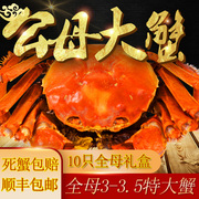10只礼盒装大闸蟹螃蟹全母3.5两螃蟹全母蟹特大苏州清水螃蟹