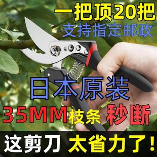 果树修枝剪粗枝省力花艺剪园林园艺花卉修枝剪进口树枝修剪器