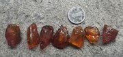 蜜蜡琥珀虫珀原石，各个有虫尺寸见对比2-6克s15-21