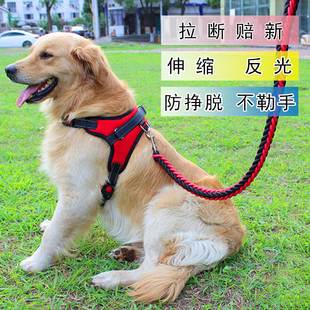 狗牵引绳夏天大型犬可伸缩背心式狗绳，中型项圈马犬背带狗链牵引带