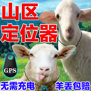 牛羊追踪神器gps定位器山区放牧专用卫星订位动物防丢追跟定仪器N