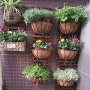 防腐木花架室内客厅阳台，墙壁挂式花架植物，吊兰爬藤架木质花盆架子