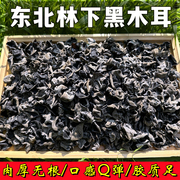 东北黑木耳干货特产林下野生秋木耳干木耳菜无根肉厚泡发率高散装