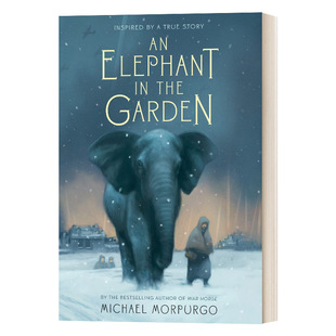 英文原版elephantinthegarden花，园里的大象英文版，进口英语原版书籍