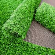 绿色草坪地垫家用入户门脚垫进门垫阳台防水户外垫子仿真绿草地毯