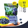 长白山特产野生蓝莓干护眼无添加剂蓝梅果干250g小包装