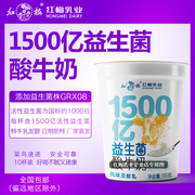 红梅乳业1500亿益生菌酸奶 150g/杯 10杯装