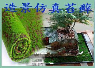 仿真苔藓假青苔仿生草皮，草坪庭院摄影装饰绿植，苔藓微景观造景