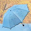 荷叶边遇水开花晴雨伞广告伞黑胶折叠防晒遮阳伞太阳伞创意三