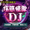 流行网络伤感DJ情歌车载cd碟片经典歌曲音乐光盘无损高音质光碟