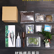 12cm切口瓶苔藓微景观，diy材料套装办公室内桌面迷你盆景绿植组合