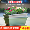 。太阳花盆长方形塑料，花盆加厚耐用阳台，蔬菜种植盆种菜专用箱种菜