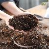 花土营养土花肥家用养花兰花种植土花盆栽通用型多肉花泥土壤