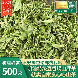 崂山绿茶2024新茶春茶，明前豌豆香500g特级散装礼盒装青岛高山绿茶