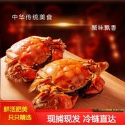 活蟹蟹友品大闸蟹，3.3两大母蟹，8只苏州精美礼盒新鲜