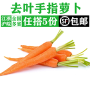 去叶手指胡萝卜500g 迷你水果胡萝卜 新鲜蔬菜西餐沙拉生吃食材