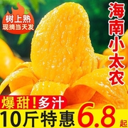 海南小台农芒果新鲜10斤小台芒，应季时令水果，当季整箱大果入口