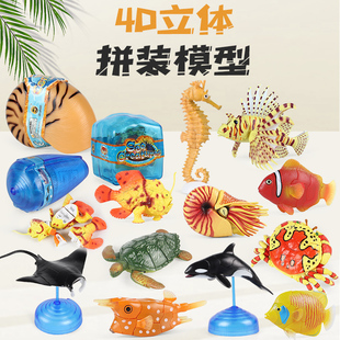 仿真海洋玩具4d拼接立体鹦鹉螺，章鲨鱼鲸鱼螃蟹海马小丑鱼动物模型