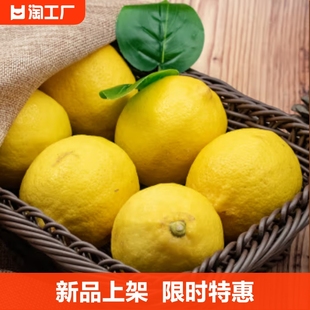 四川安岳黄柠檬(黄柠檬，)5斤9斤新鲜当季水果一级皮薄香水鲜柠檬