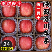 陕西洛川苹果水果新鲜当季整箱红富士冰糖心，脆甜一级10斤