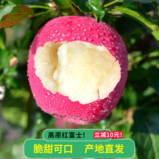 2023甘肃静宁苹果红富士礼盒新鲜水果，脆冰糖心萍果整箱甜苹果孕妇