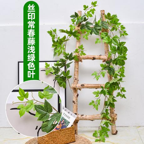 仿真藤条花蔓爬山虎