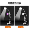 LED双头夹子台灯USB可调亮度阅读手机维修照明灯UV胶紫外线固化灯