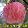 正宗山东烟台苹果新鲜水果当季甜脆5斤吃的整箱果园直发农产品