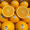 澳橙黑标3107脐橙子5斤10只新鲜当季水果大果新奇士(新奇士)甜橙