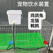 兔子饮水器鸡鸭鸽鹌鹑自动喂水器龙猫荷兰猪专用神器兔兔水碗