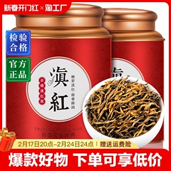 滇红茶云南凤庆滇红红茶浓香型特级茶叶养正宗胃古树红茶2023新茶